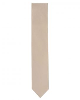 Champagne Solid Tie