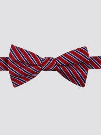 Pattern Bow Ties