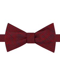 Silk Bow Ties