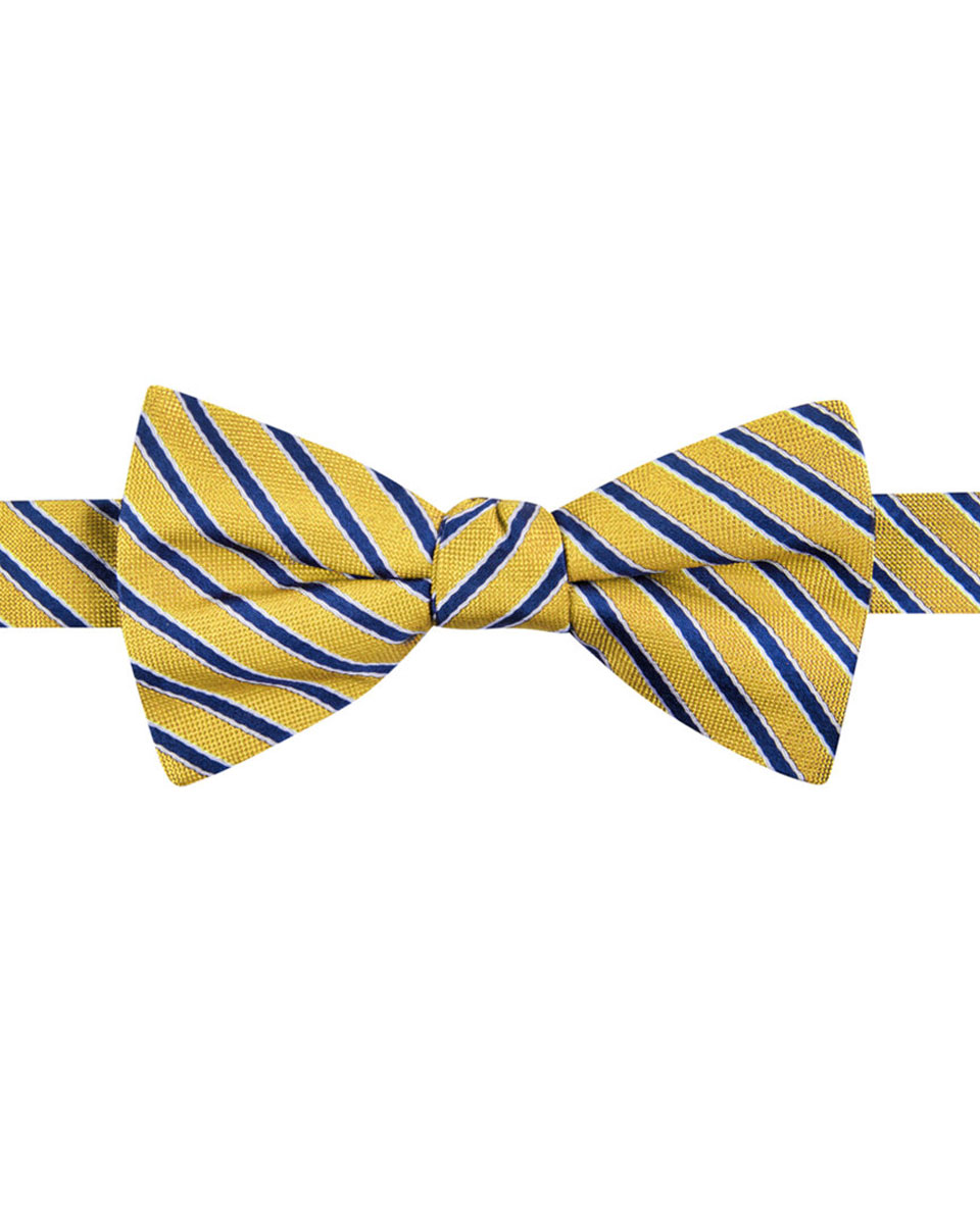 Yellow & Blue Bow Tie