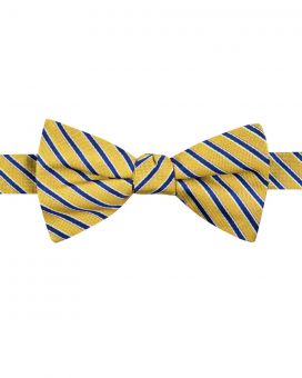 Yellow & Blue Bow Tie